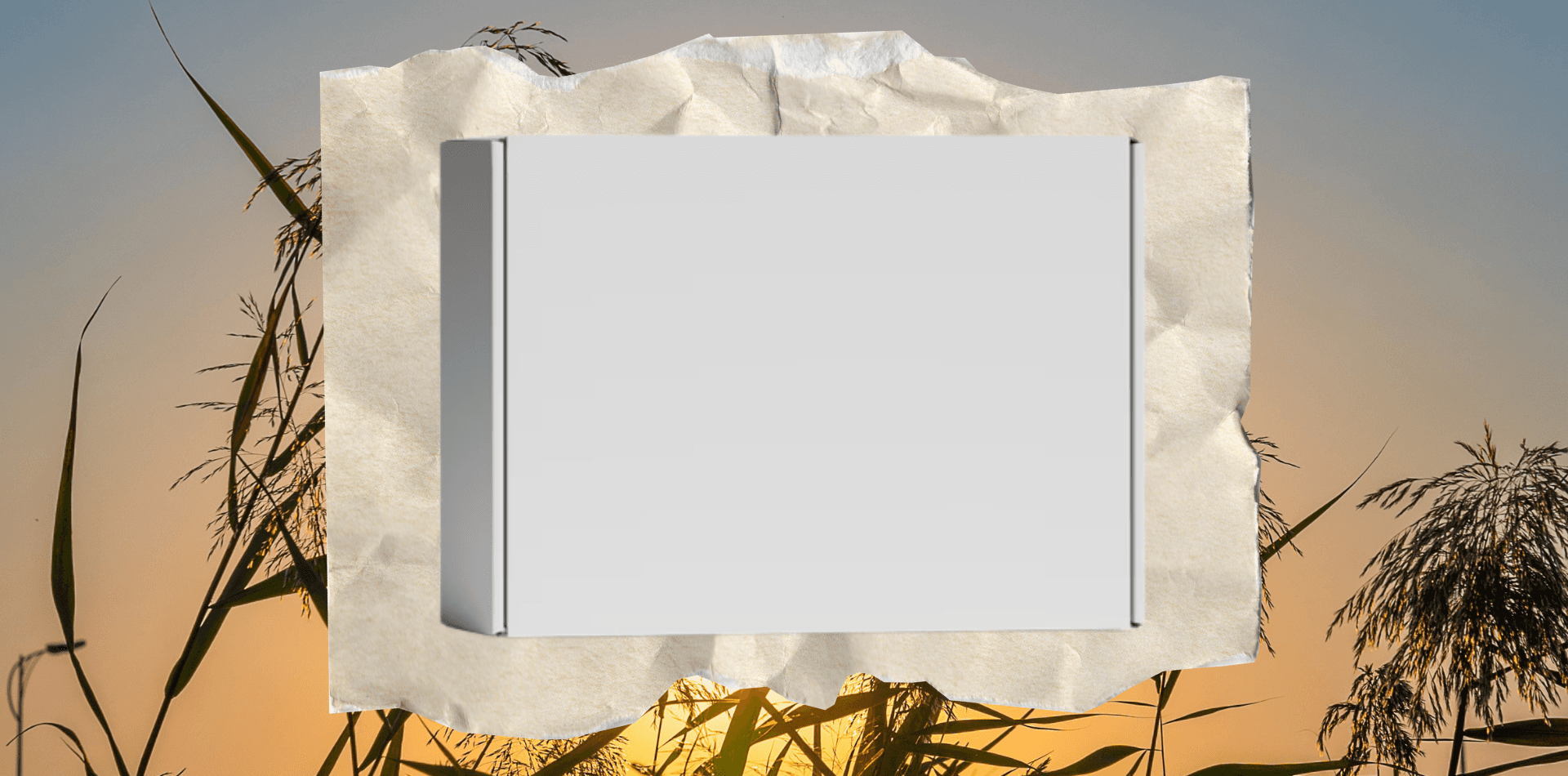 Plain Box