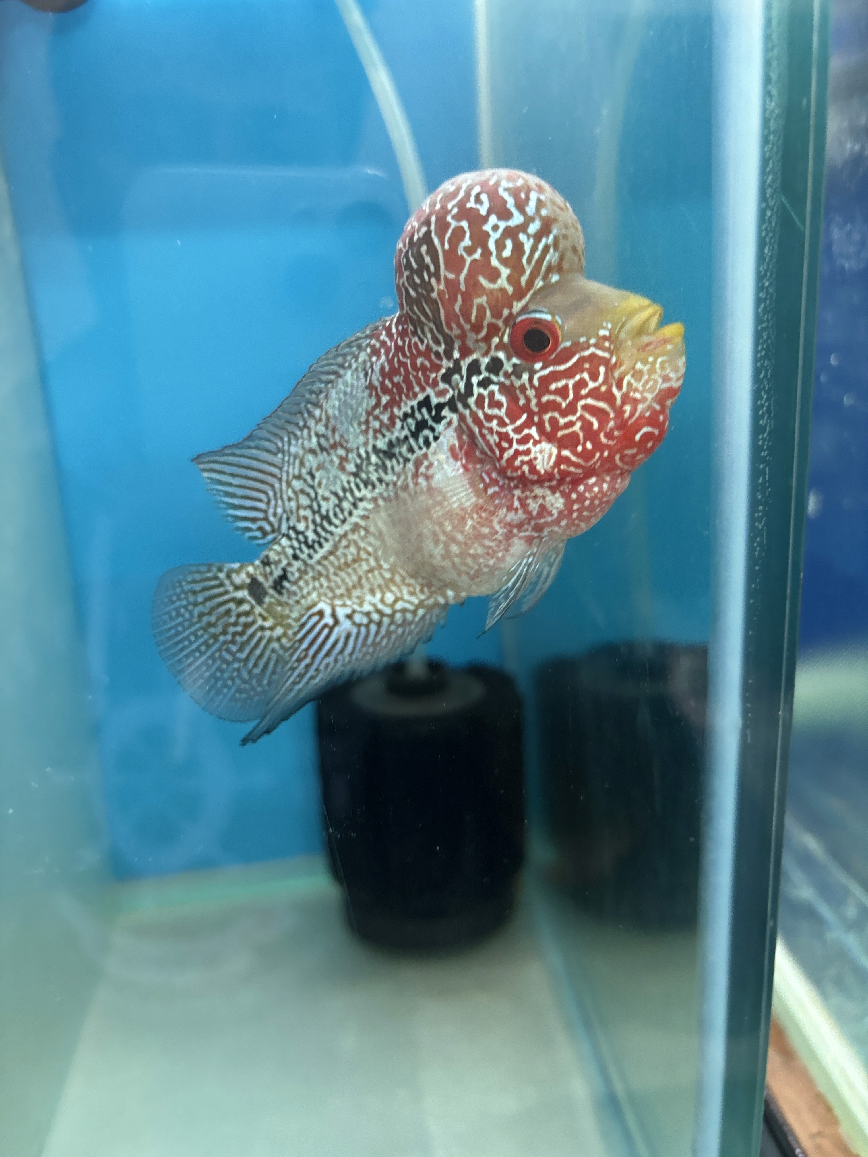 Fishing tips and techniques