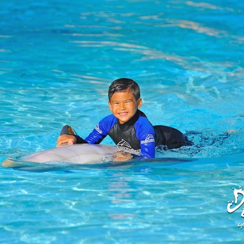 Zoomarine Algarve: Entrada + Experiencia con Delfines en Guia