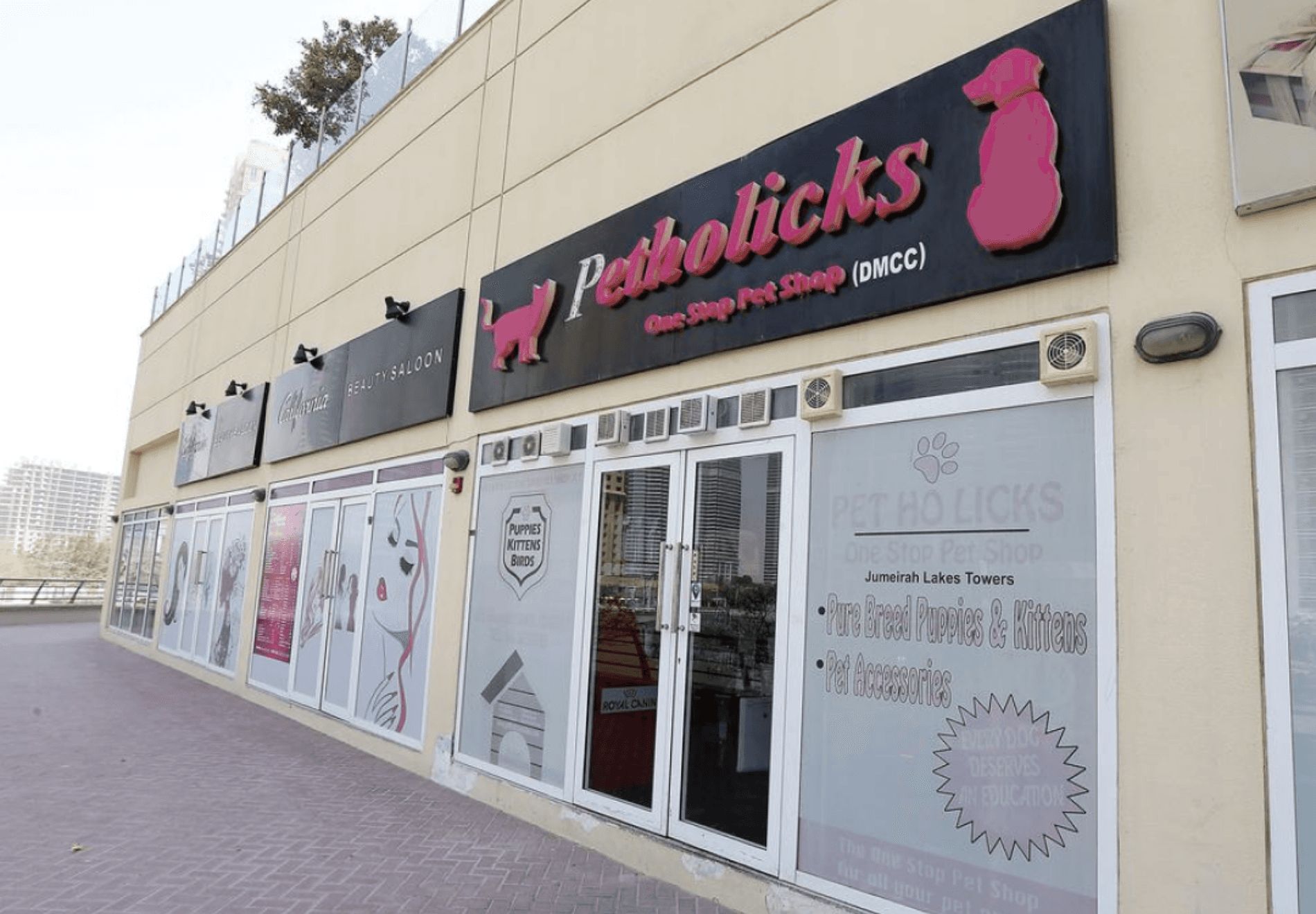 The exterior view of Petholicks&nbsp;with branded windows, glass doors, and a giant sign on top.