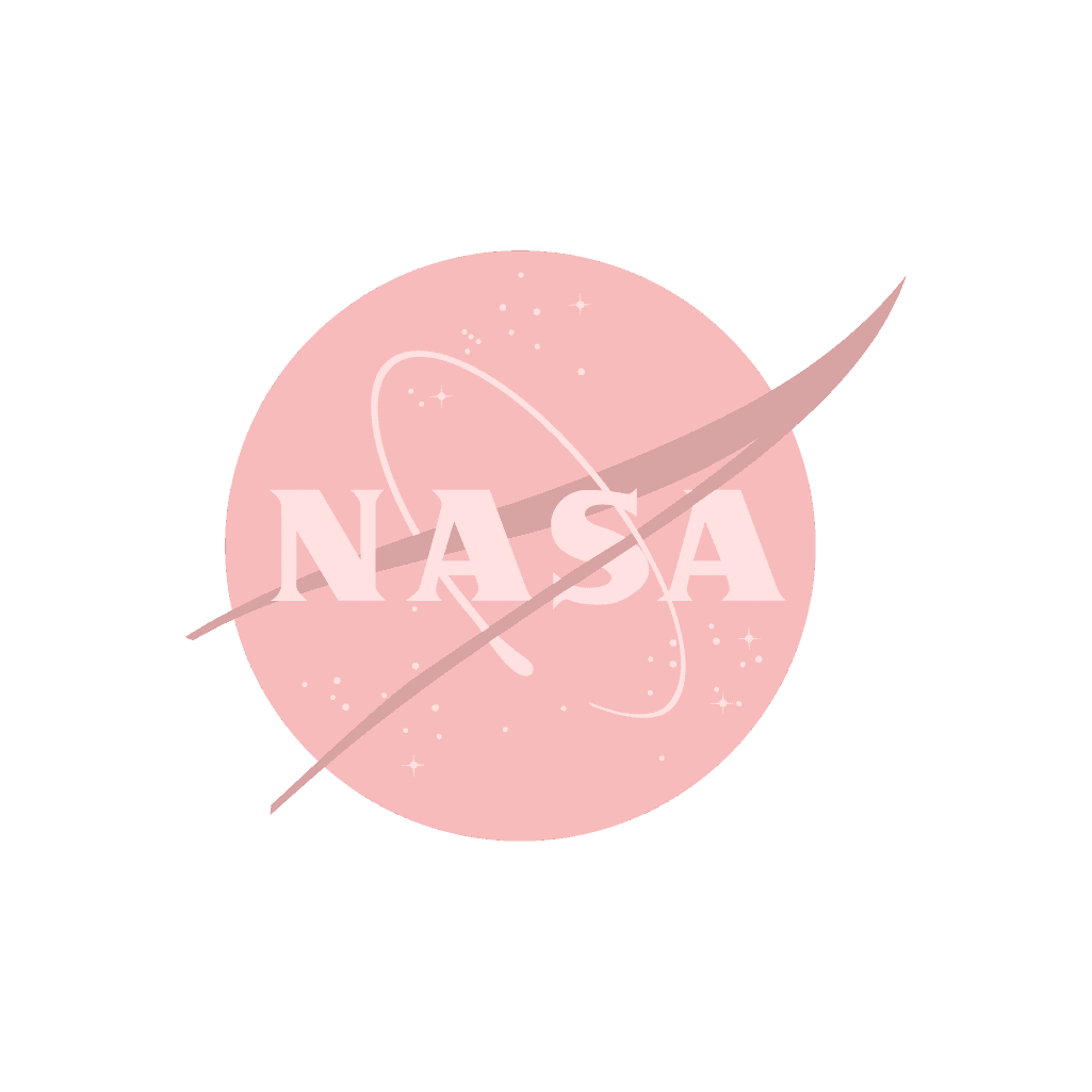 NASA Logo Pink