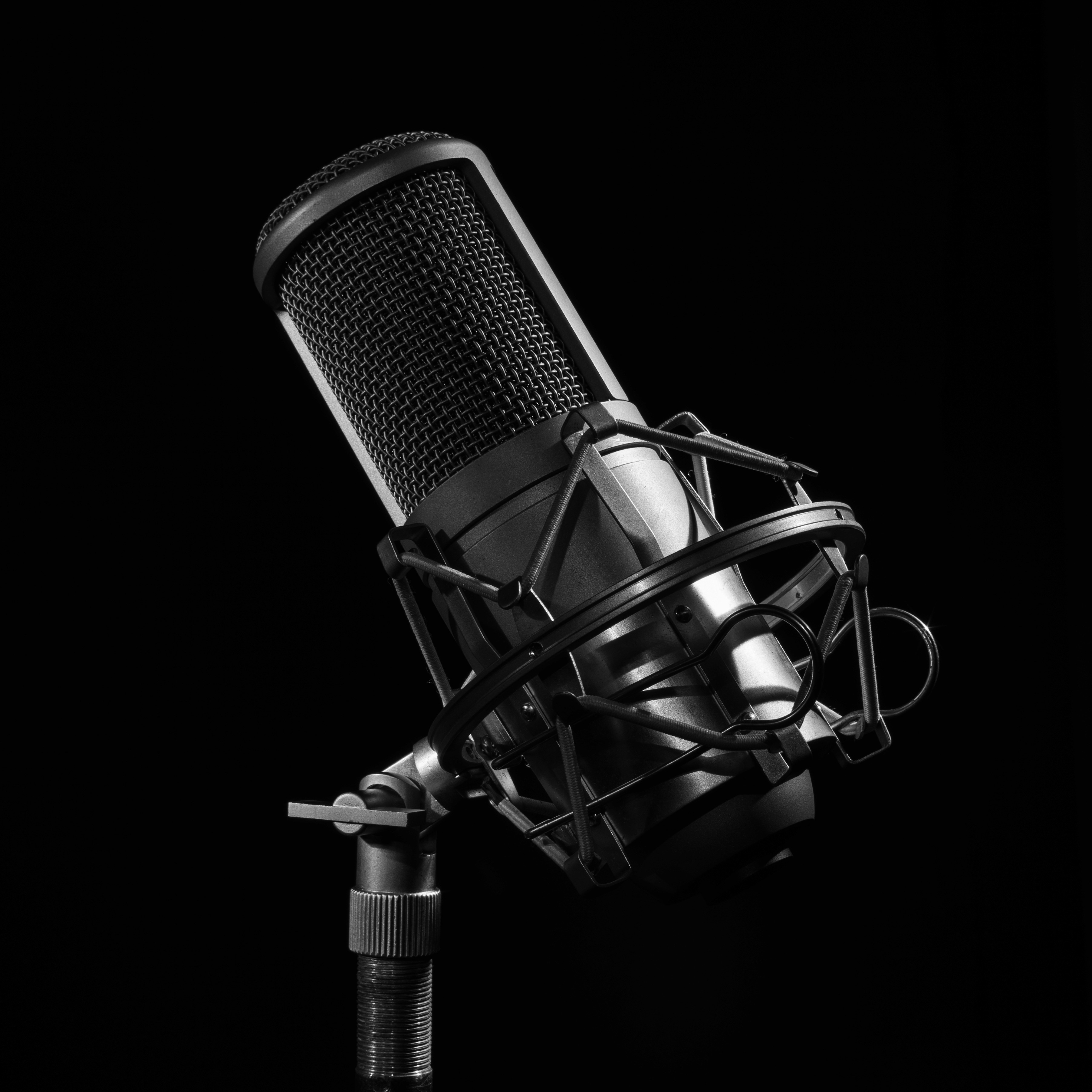 A studio microphone with a pop filter in black and white.