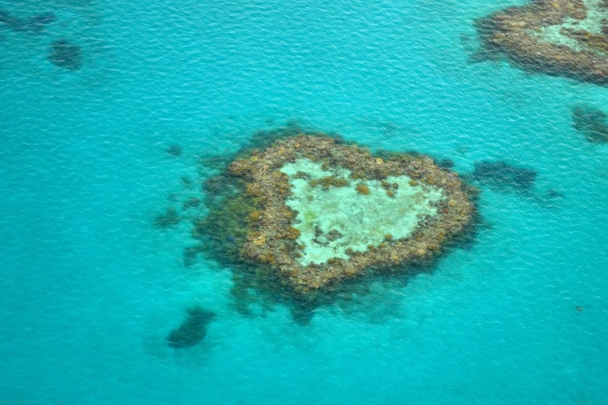 a street lined with stone buildings next to a lush green forest