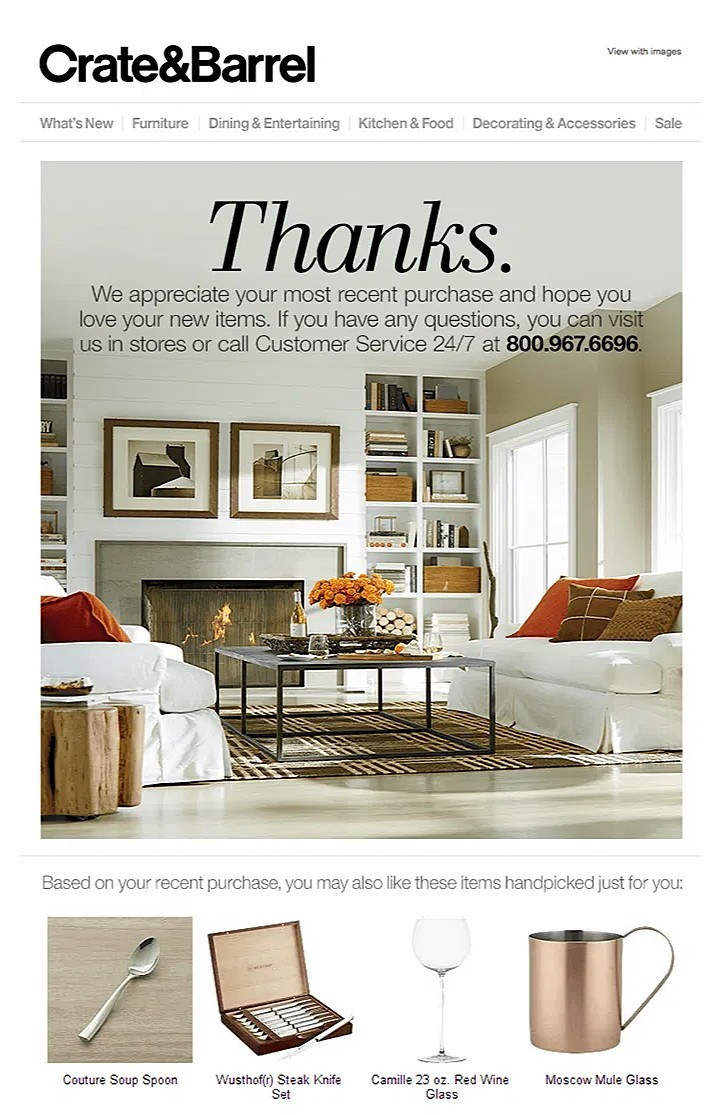 Crate & Barrel email thanking customers for their purchase and suggesting complementary products