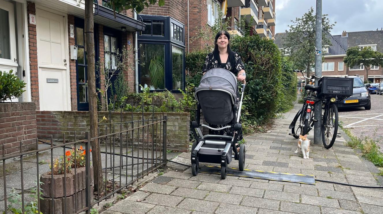 Man picking fruit from a tree
