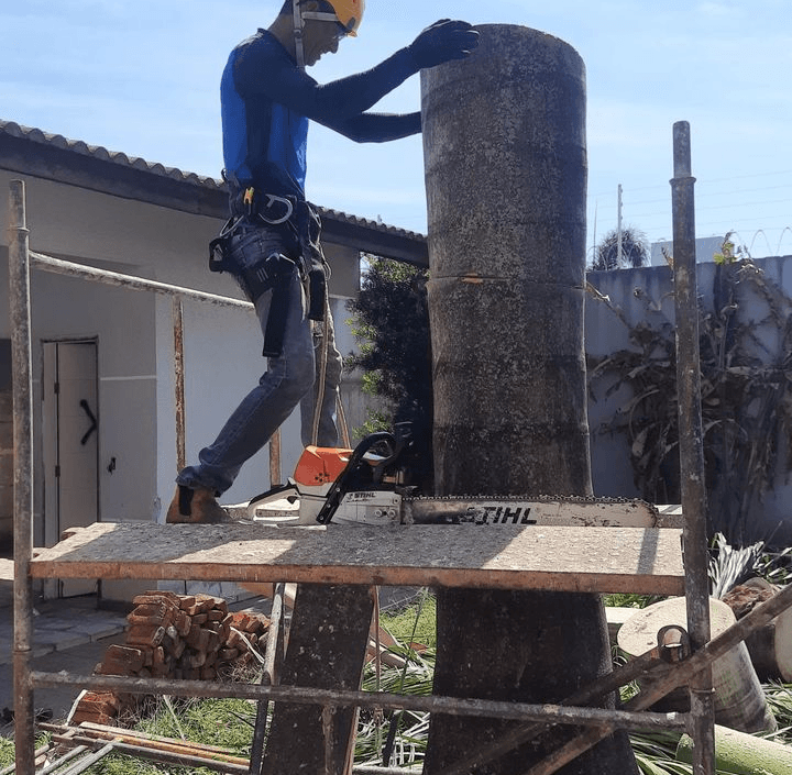 Supressão de Palmeira