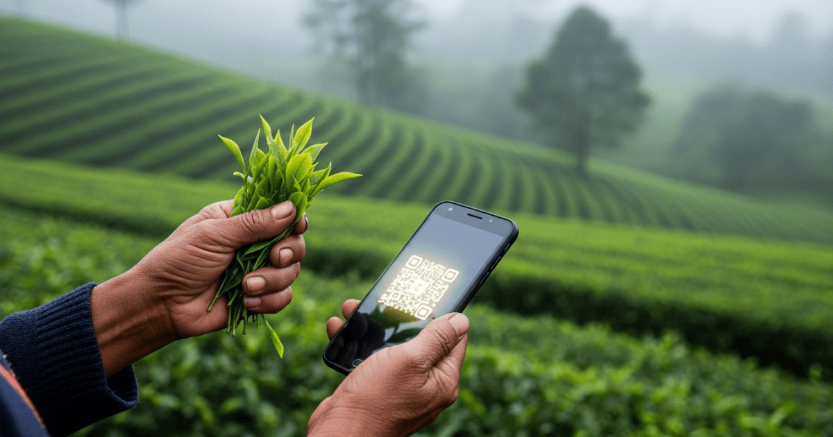 From Leaf to App: Sri Lanka's Tea Fertilizer Subsidy Gets a QR Revolution