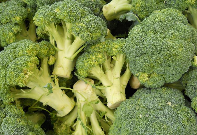 Broccolo