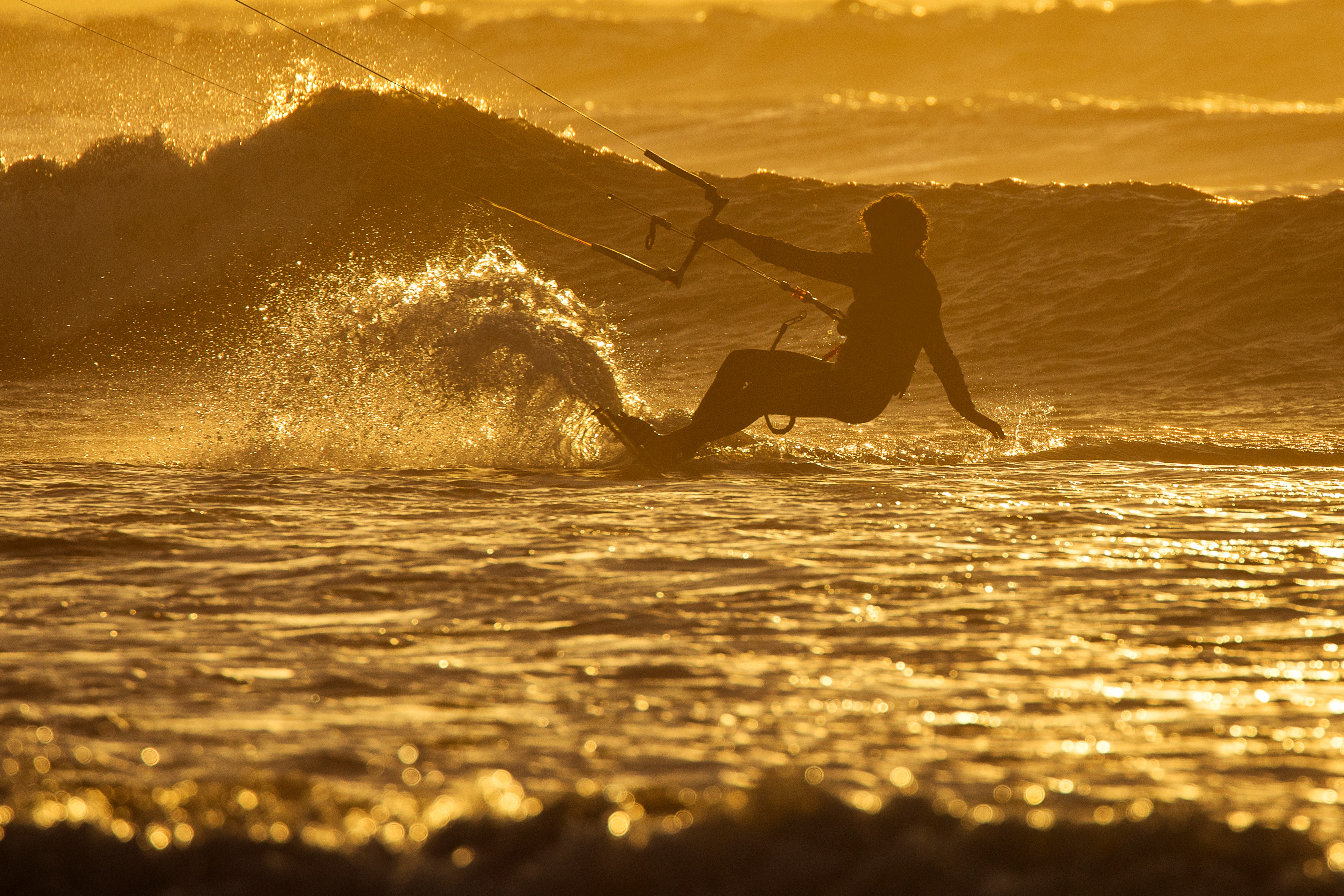 Close-up of blue flowers, glistening with droplets of water, creating a serene and calming atmosphere.