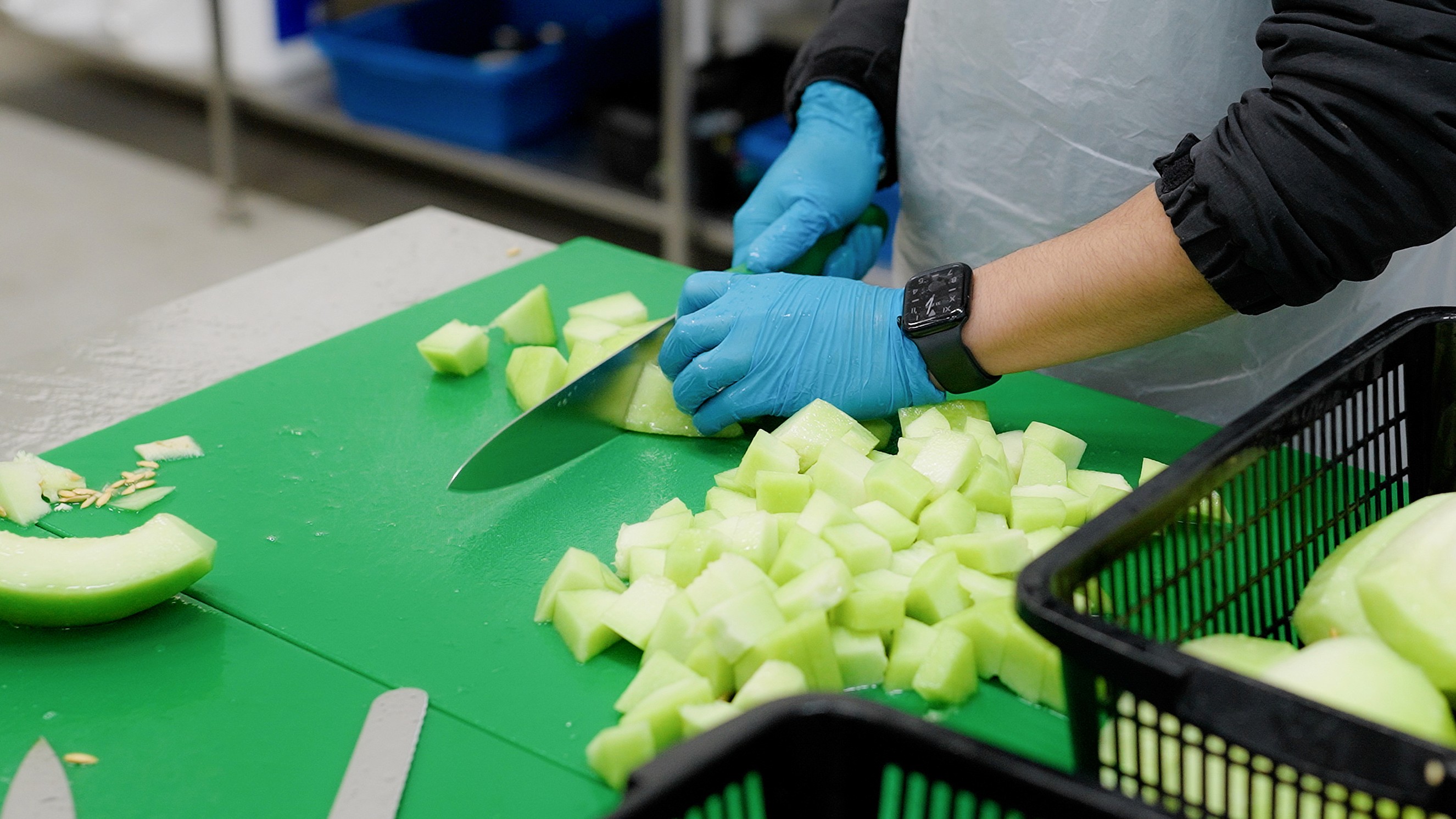 Apples in a factory conveyor belt.
