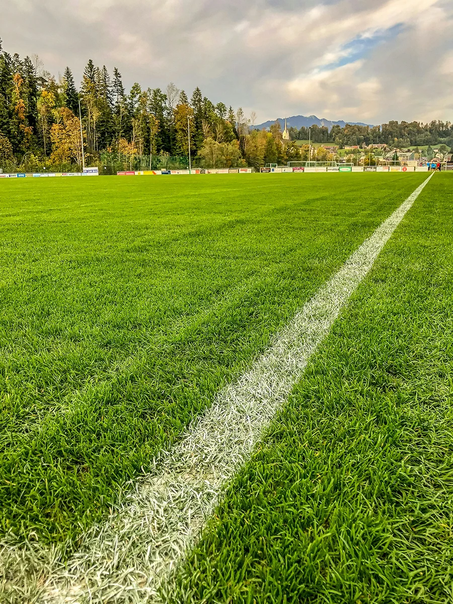 Outdoor grass soccer field with a white sideline