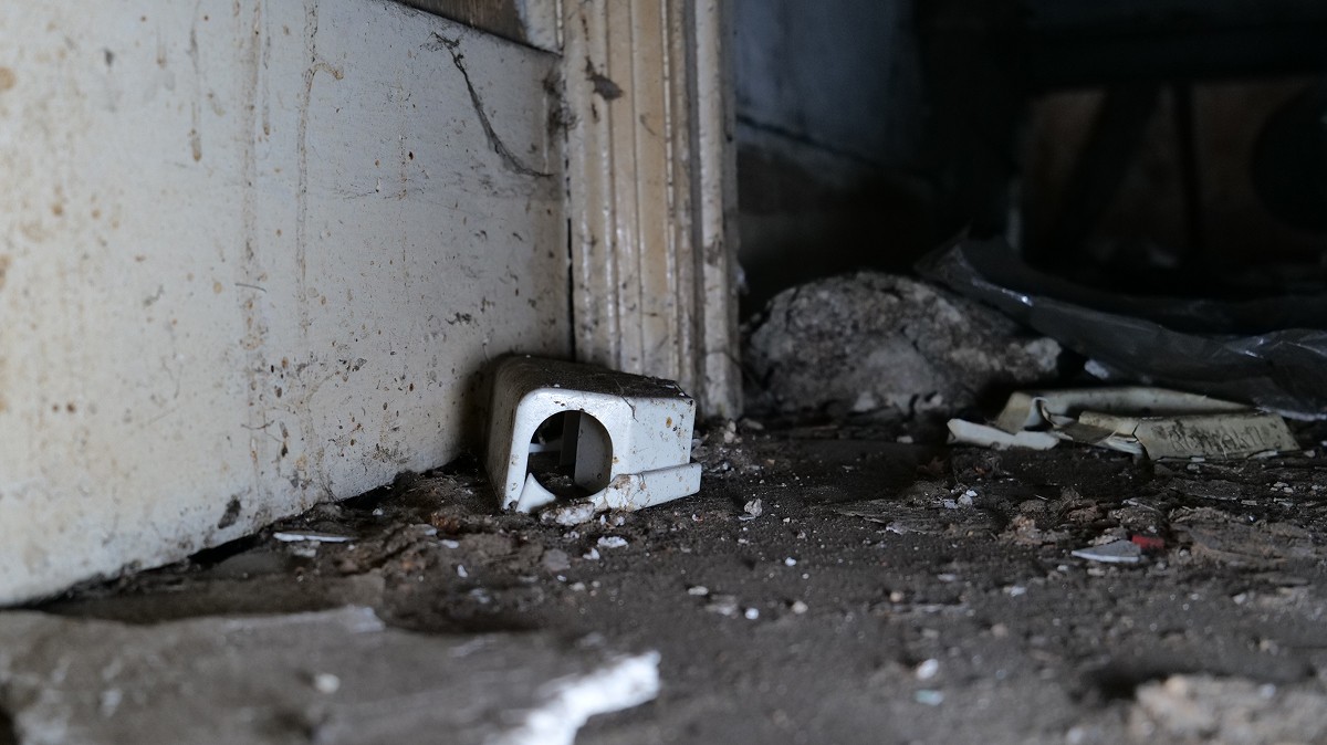 Old rodent trap inspection for an apartment