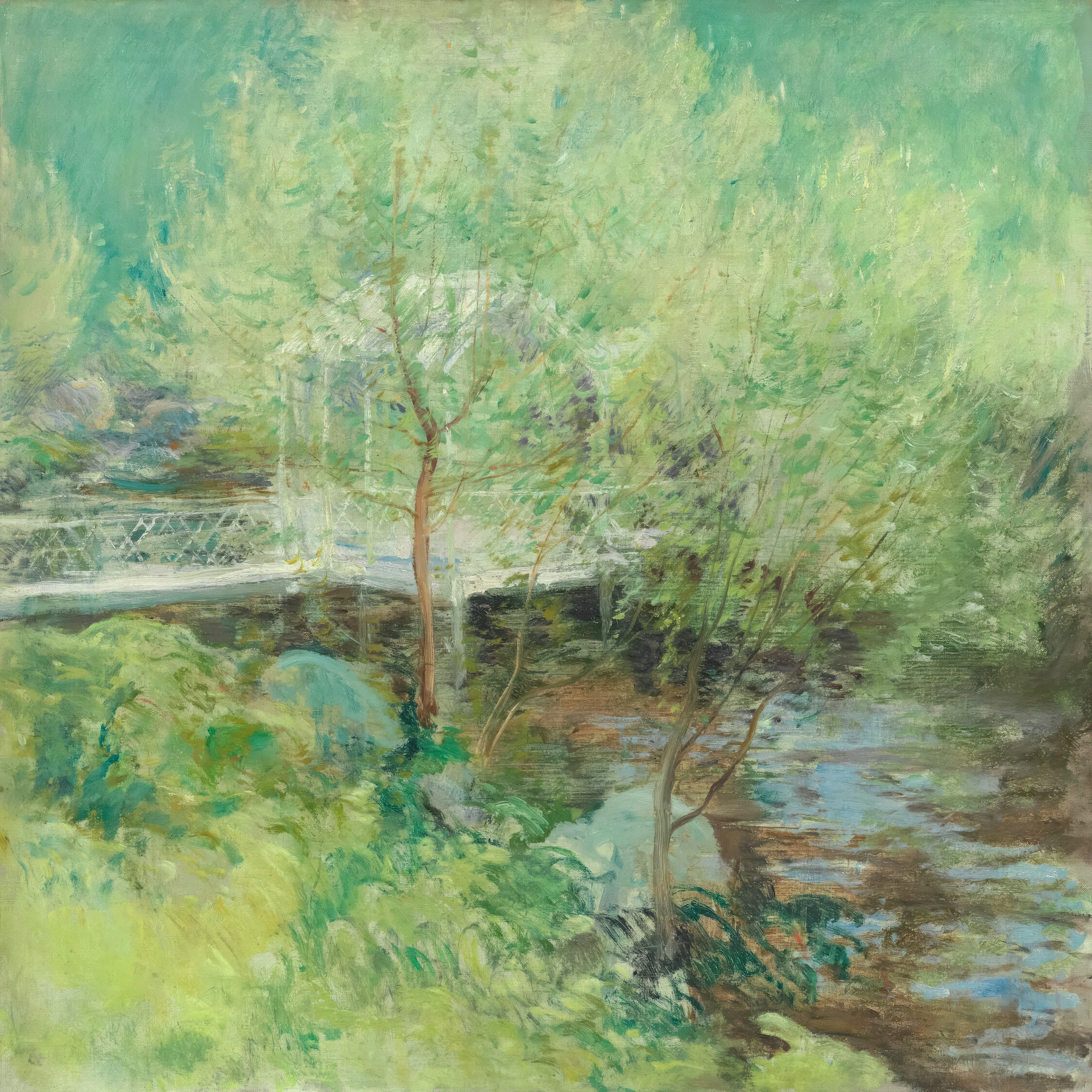 The Water Lily Pond