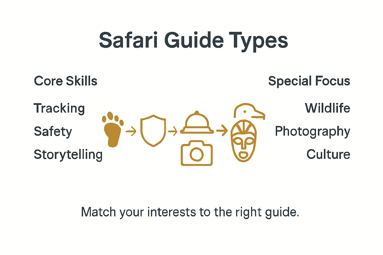 Infographic showing safari guide types and skills