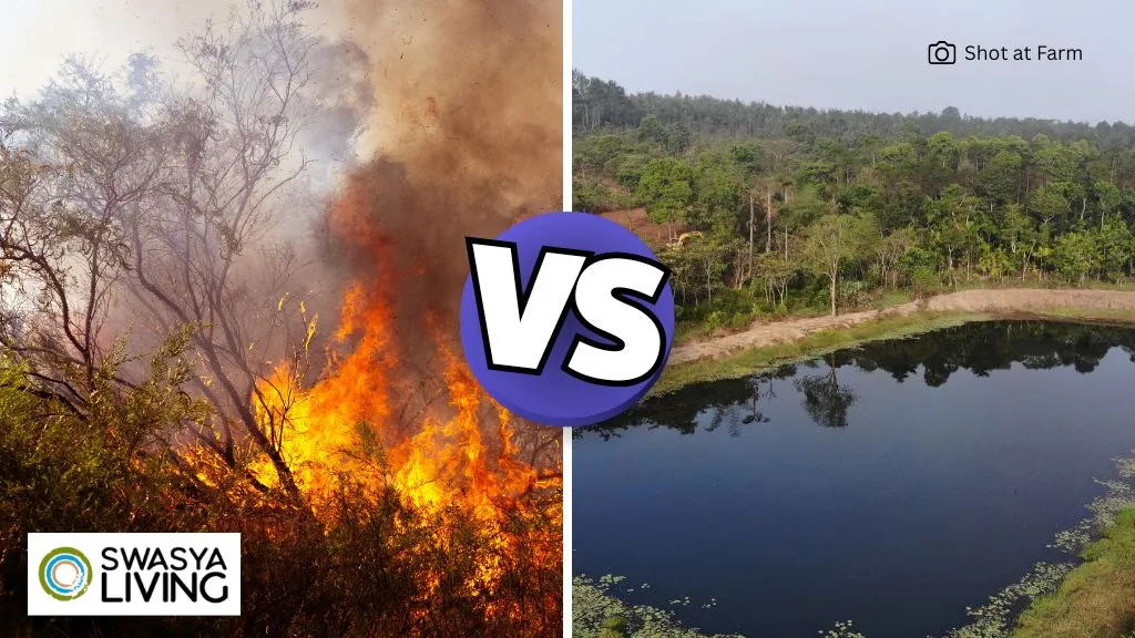 How Can We Stop Global Warming