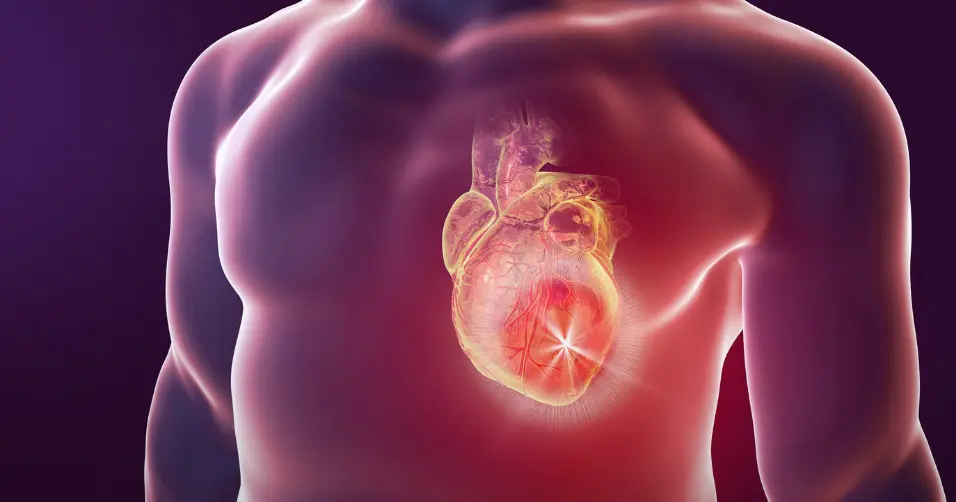 Heart health is maintaining cardiovascular function through diet and exercise.