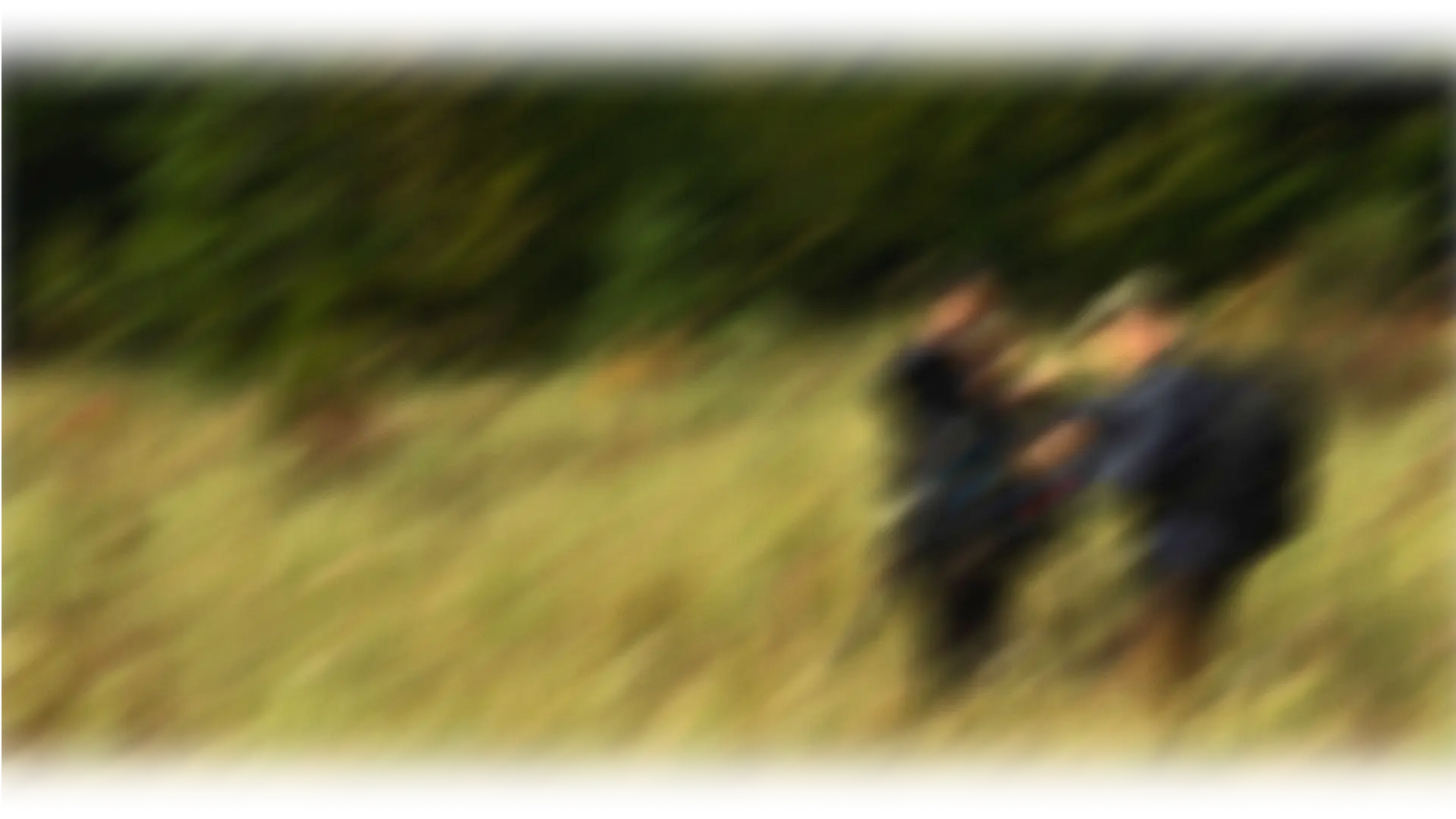 Deux personnes ajustant du matériel audio et vidéo sur un trépied au milieu d’une prairie, entourées d’herbes hautes et d’une forêt dense.