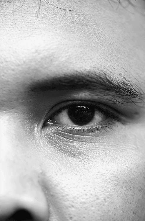 Close-up of a tree stump showing growth rings and a textured brown wood surface.