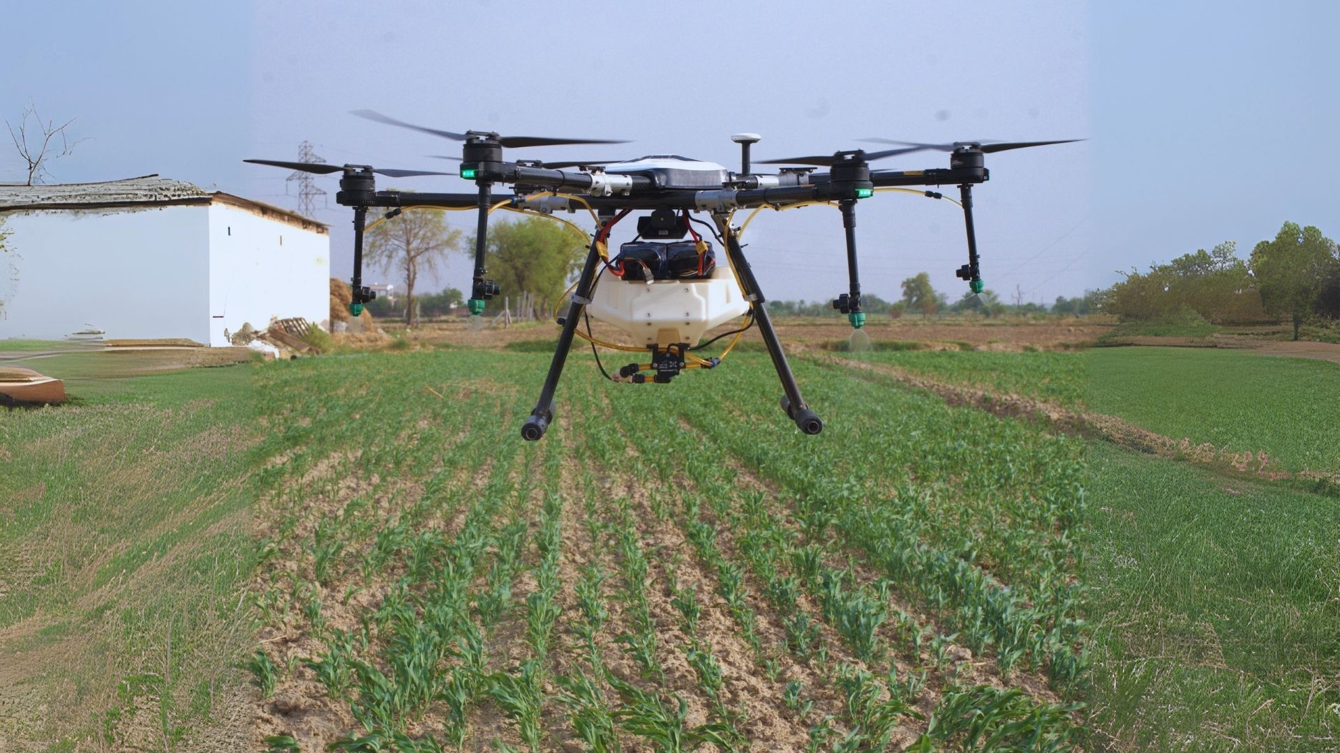 Safety Standards and Regulatory Compliance