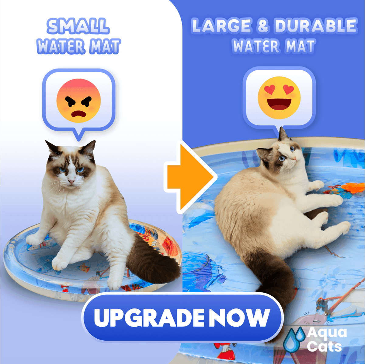 AquaPaws Advertisement Design — image 1