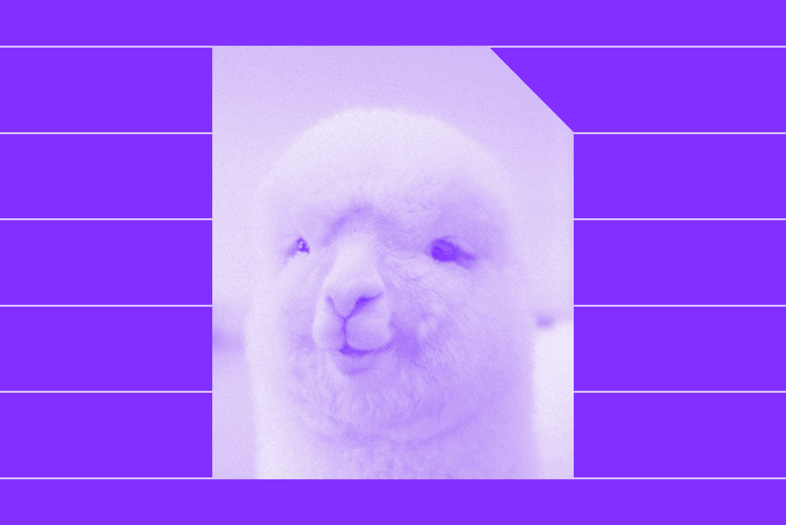 Hero image do post do blog