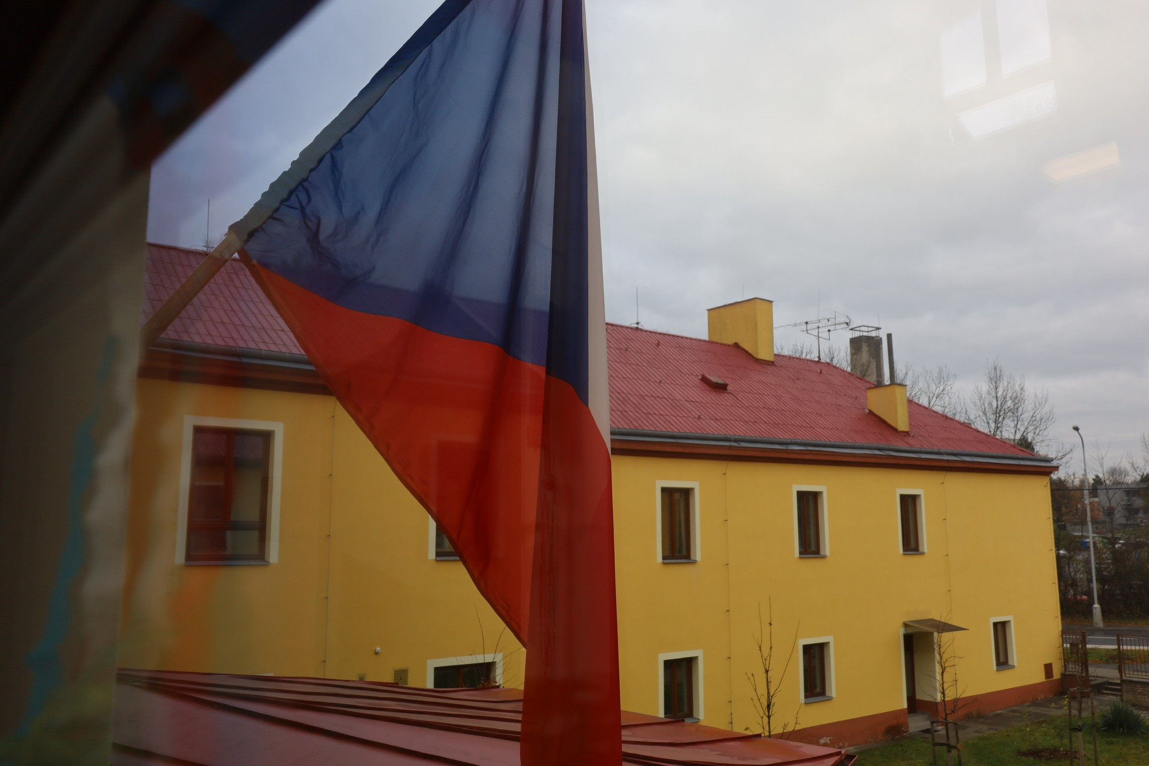 a woman with flowers