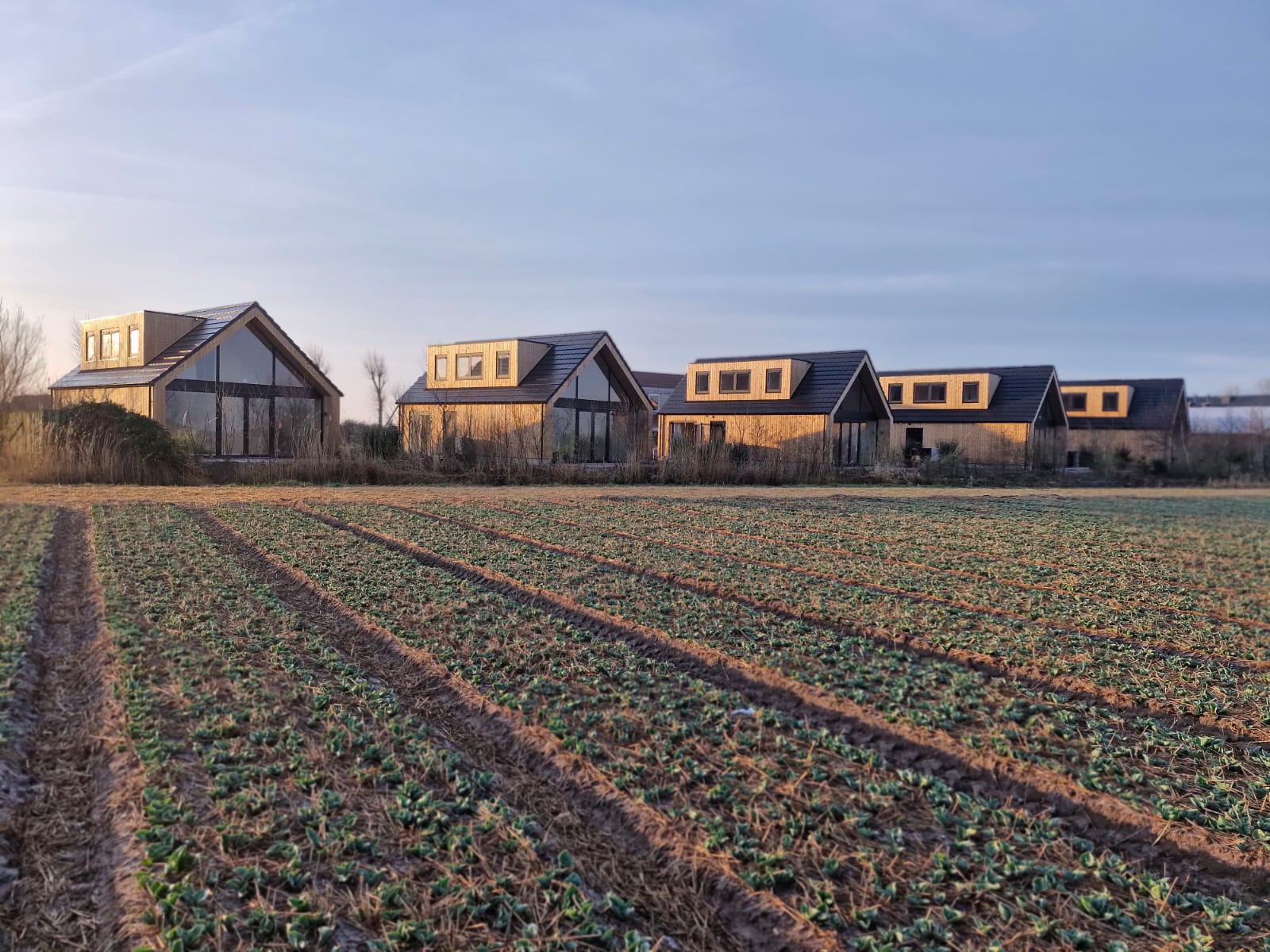 Project van Voors Elektrotechniek: Recreatiewoningen in t'Zand