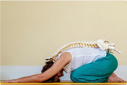A beautifully arranged spread of Ayurvedic meals featuring fresh salads, sliced mushrooms, colorful cherry tomatoes, boiled eggs, and leafy greens, complemented by a wooden mortar and pestle on a rustic wooden table.