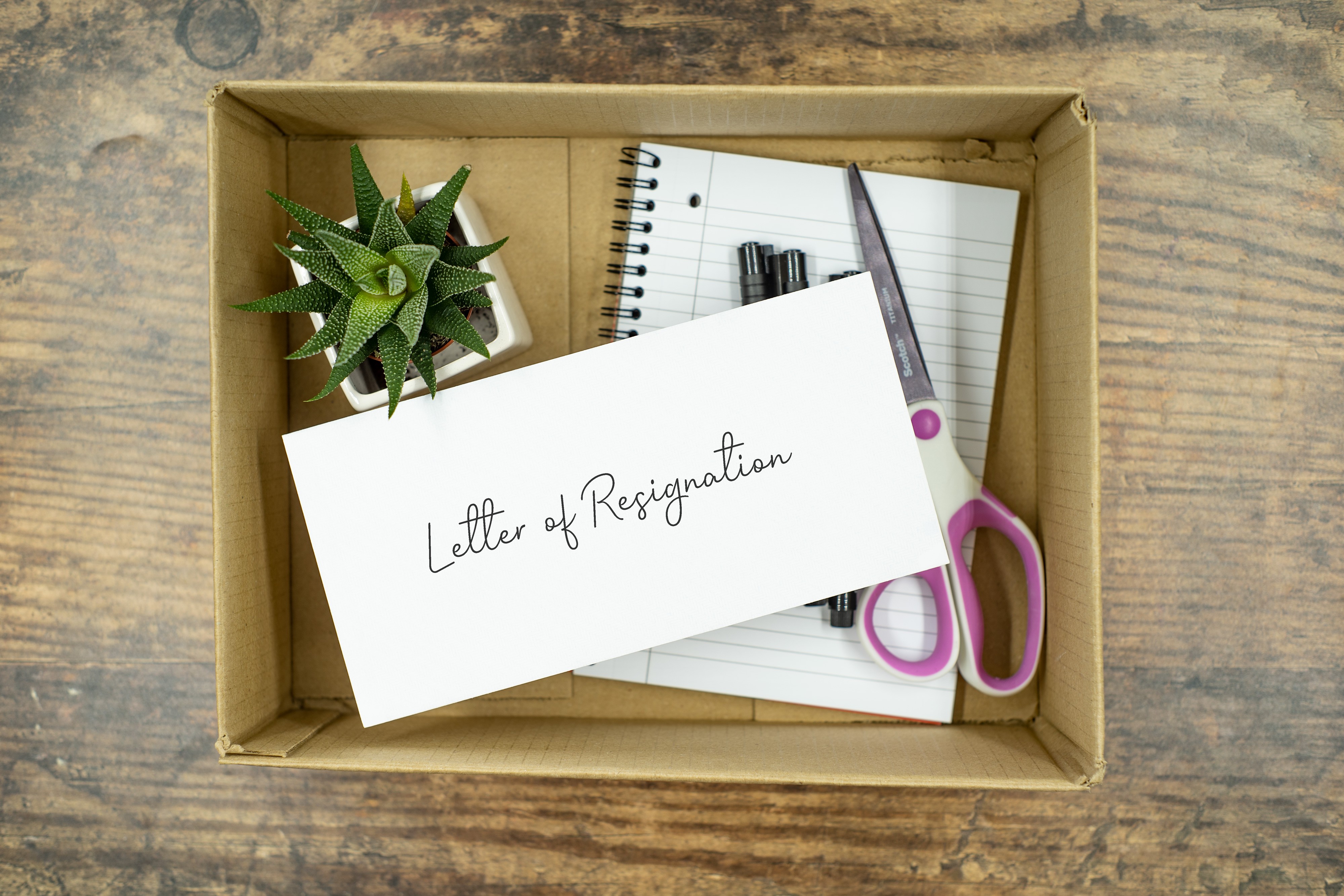 Letter of Resignation Box