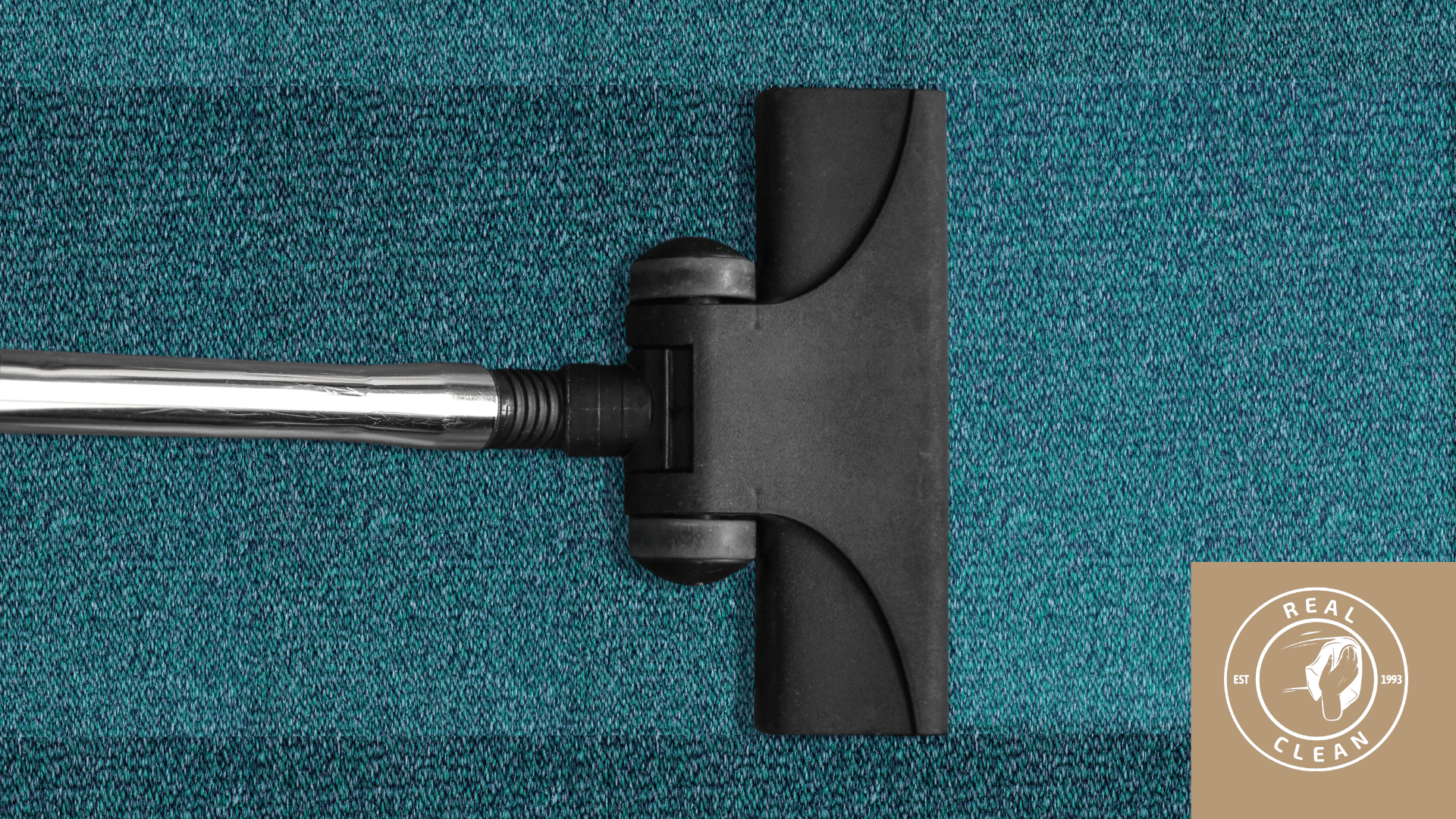 carpet cleaning