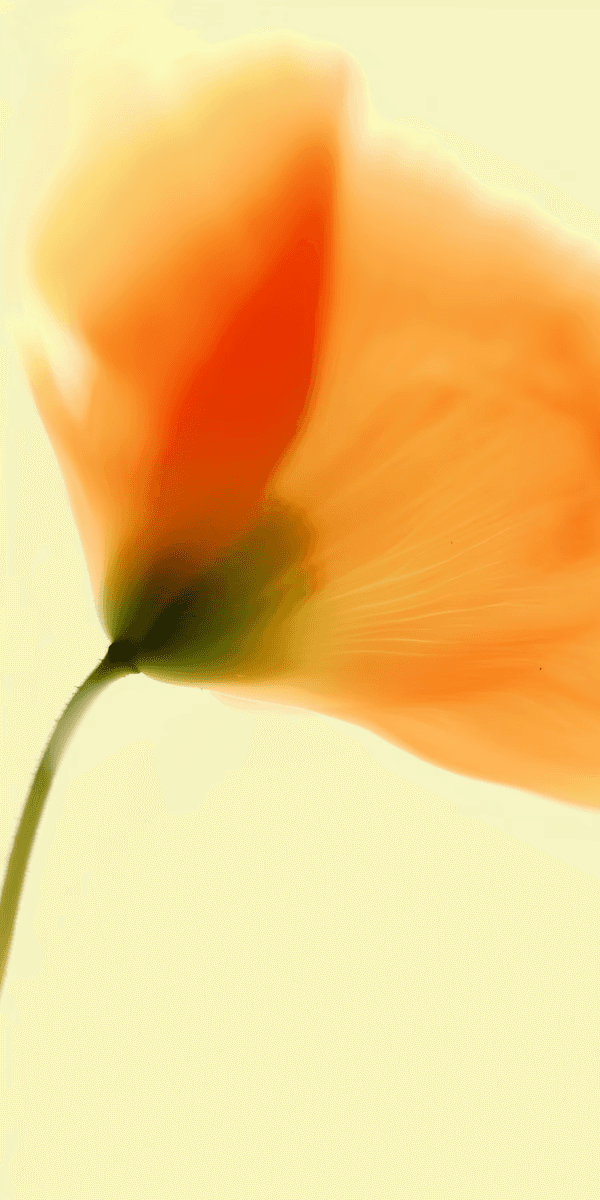 transtornos hormonales