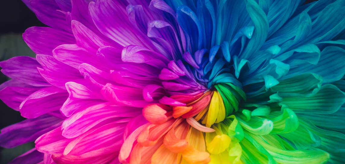 trumedia GmbH - Sicher farbenfroh! Zertifiziertes Colormanagement