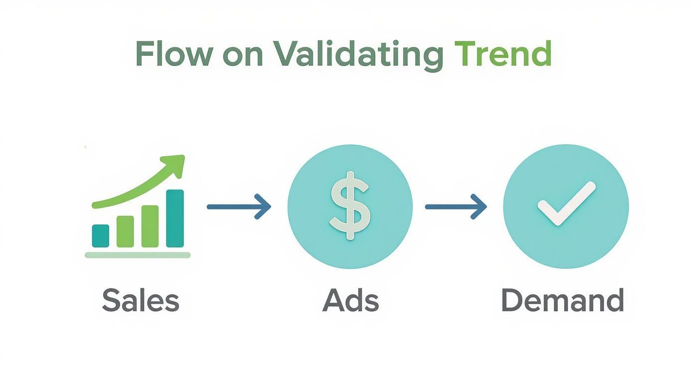 Flow chart showing sales trend validation process through advertising investment to confirm market demand