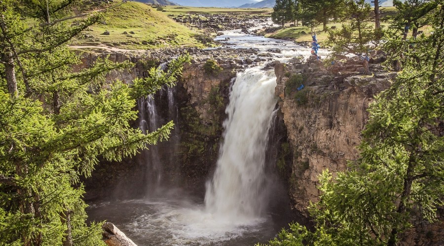 car passing by in between trees
