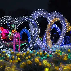 濟州光之花園