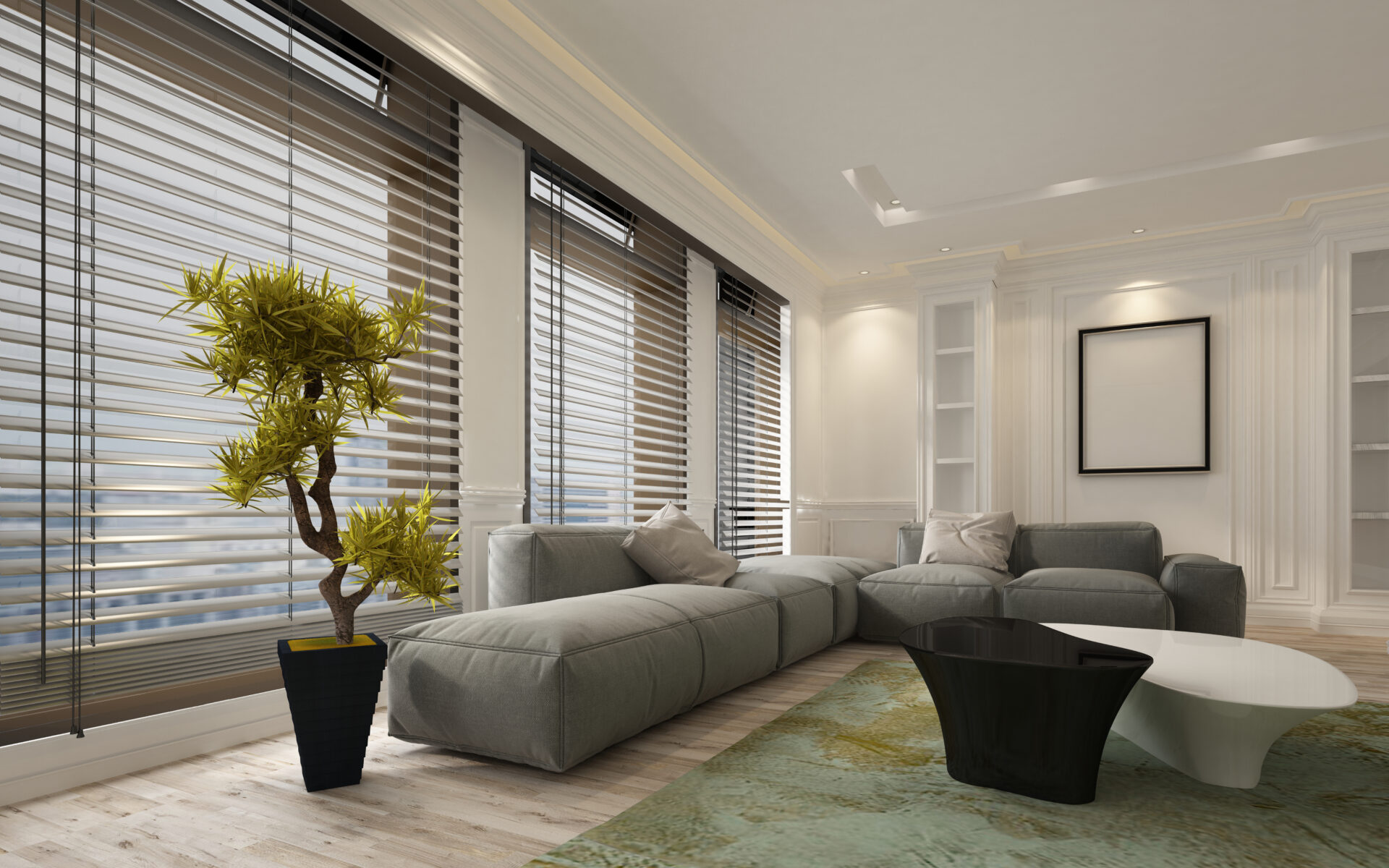 Shutters and Blinds