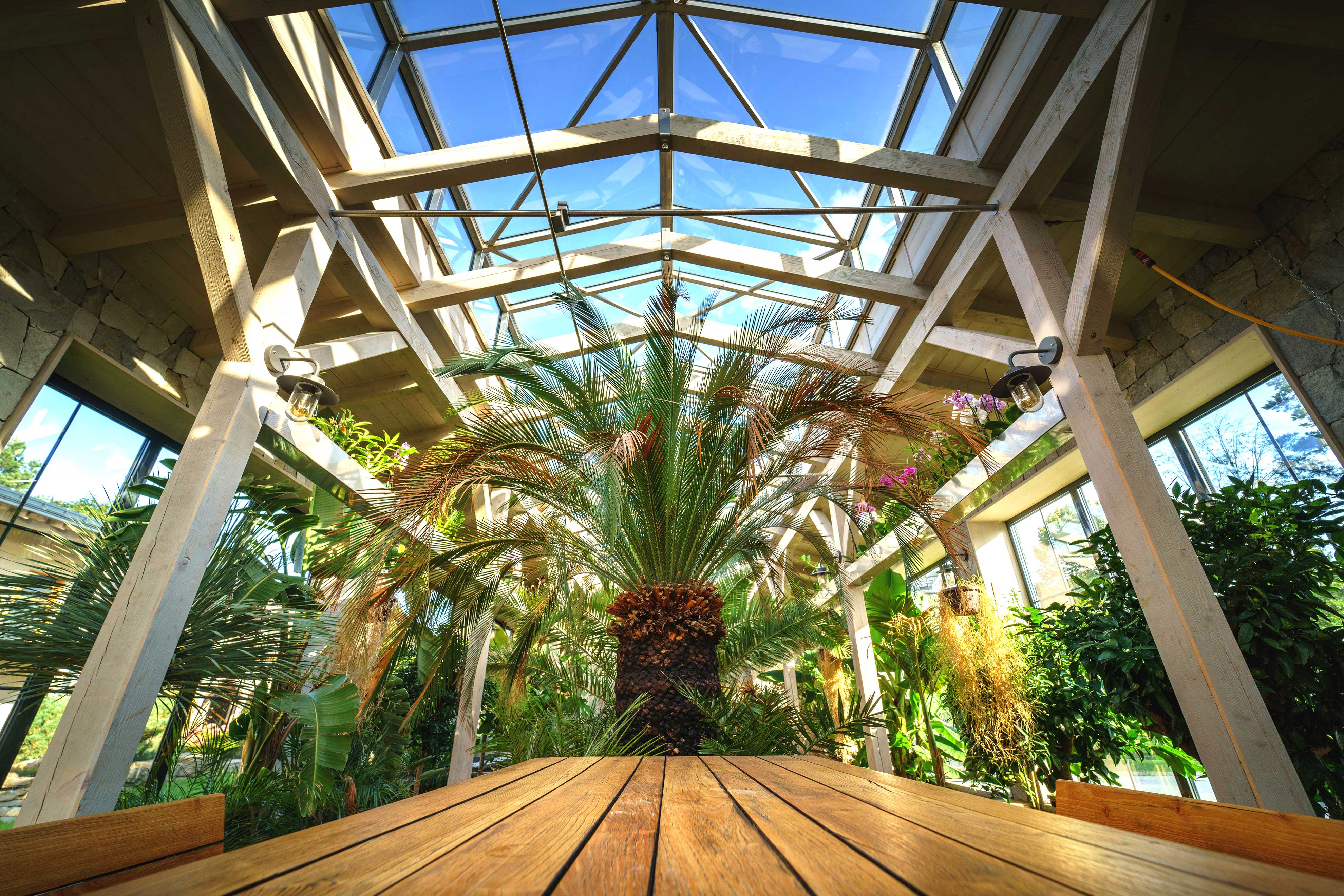 A high-angle, wide-angle shot of a modern architectural interior featuring warm wooden slat ceilings and walls that lead to an open outdoor terrace. The clean, geometric lines and rhythmic patterns create a sense of structural clarity and calm, visualizing the "Trust Architecture" and persona-driven pathways discussed in the article.