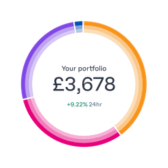 portfolio-ring-breakdown