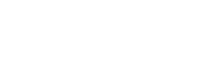 Skyfall logo
