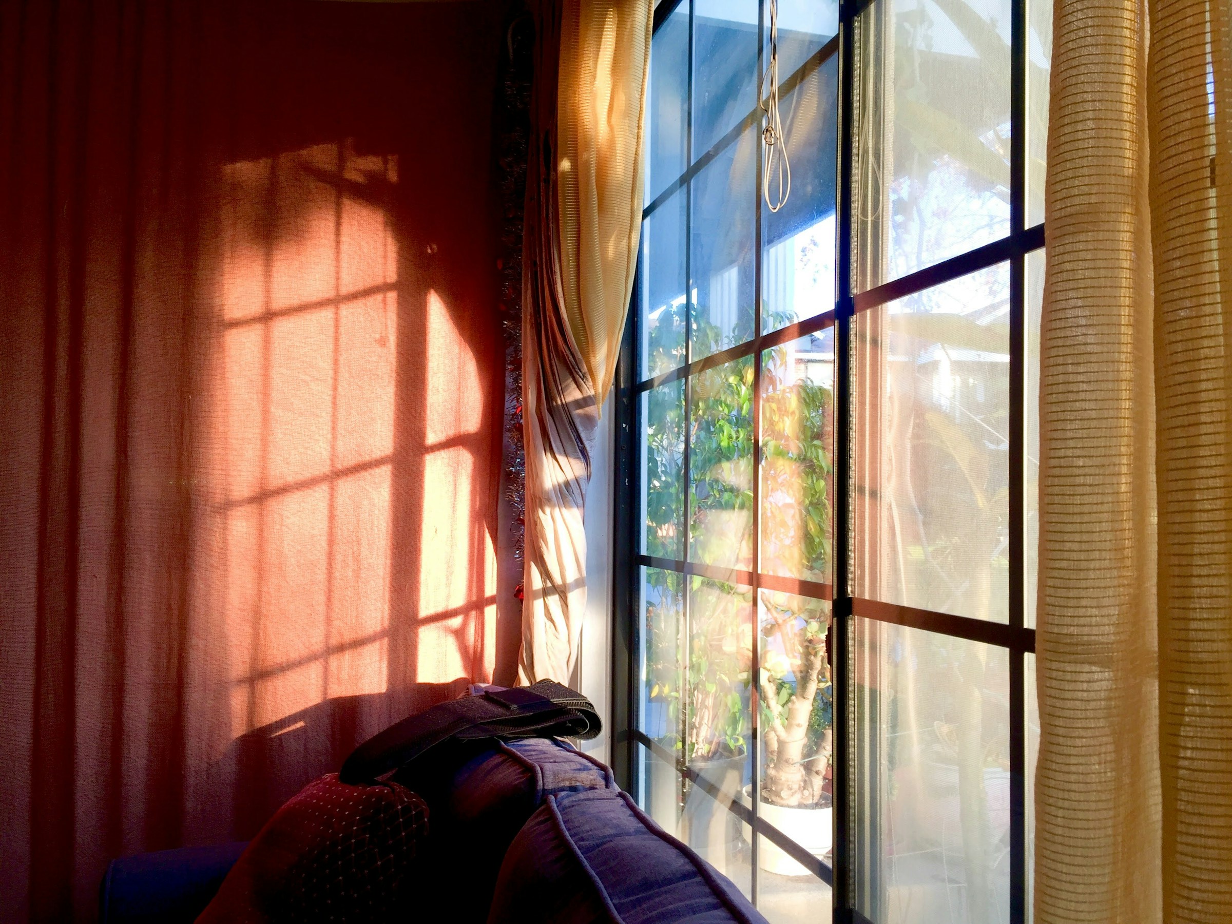 morning sunlight at home - Benefits of Morning Sunlight