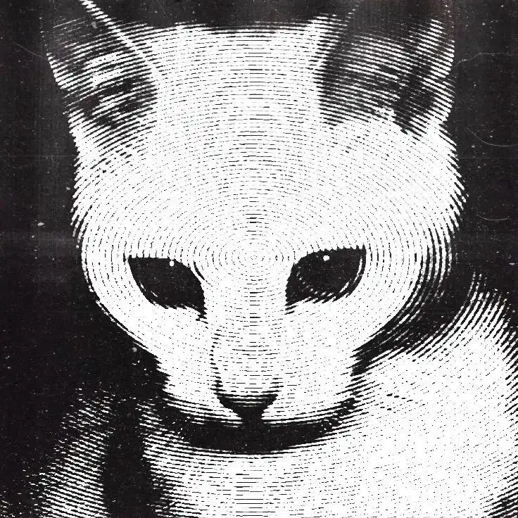 Brain's representational code