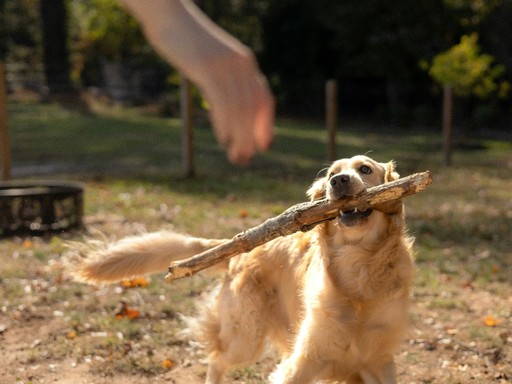 celebratory approach honoring small progress over demanding perfect obedience