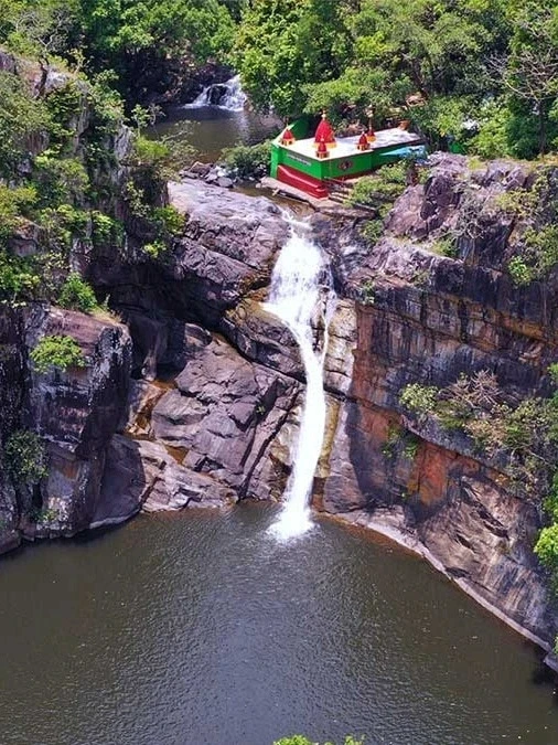 Waterfall amidst lush forest
