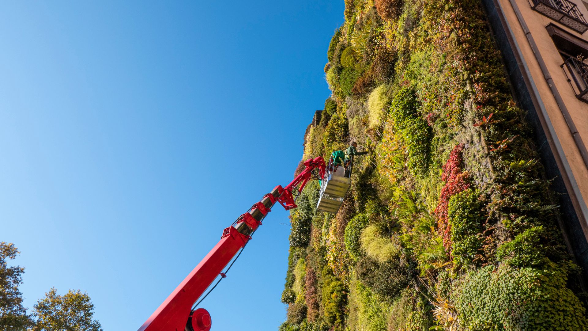 INSTALACION DE MURO VERDE ESTUDIO ATOCPA