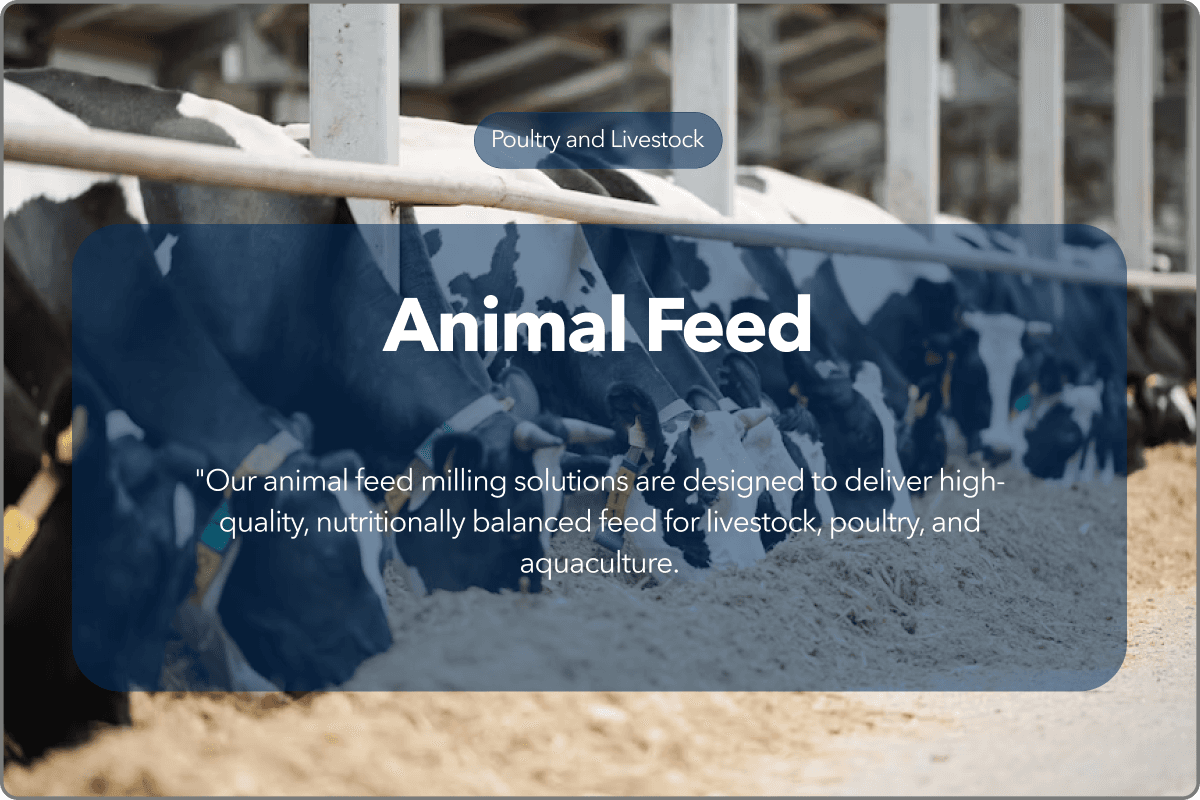 architectural solution flour metalizing connect work global network number samoa sint british virgin verde administrative peoples north georgia ireland northern pitcairn helena sudan arab inquiry