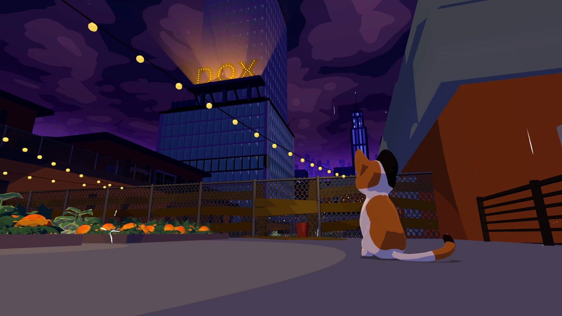 Cat Secretary outside of DOX headquarters at night