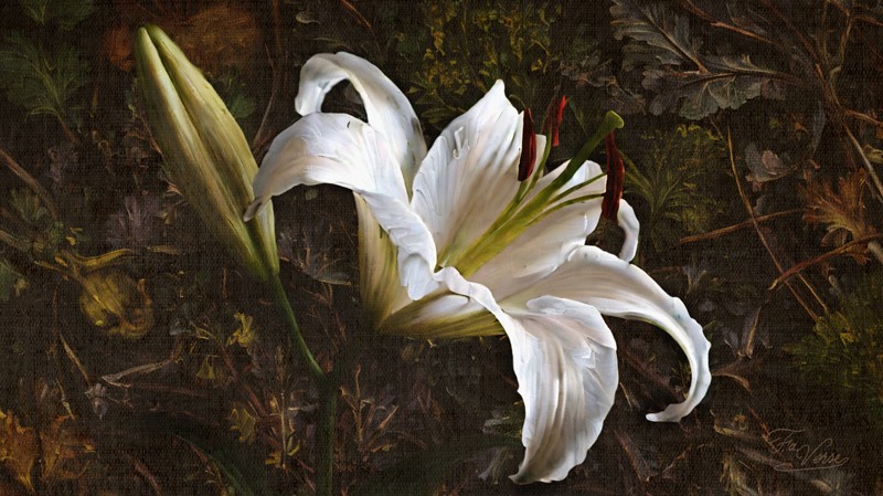 Sacred artwork by Faith and Verse. © Faith and Verse, 2025. All rights reserved. A pure white lily against dark earth and withered foliage—Dymphna's sanctity affirmed, her witness complete, the purity she defended unto death now eternal, her intercession continuing as the cult she inspired endures across centuries.