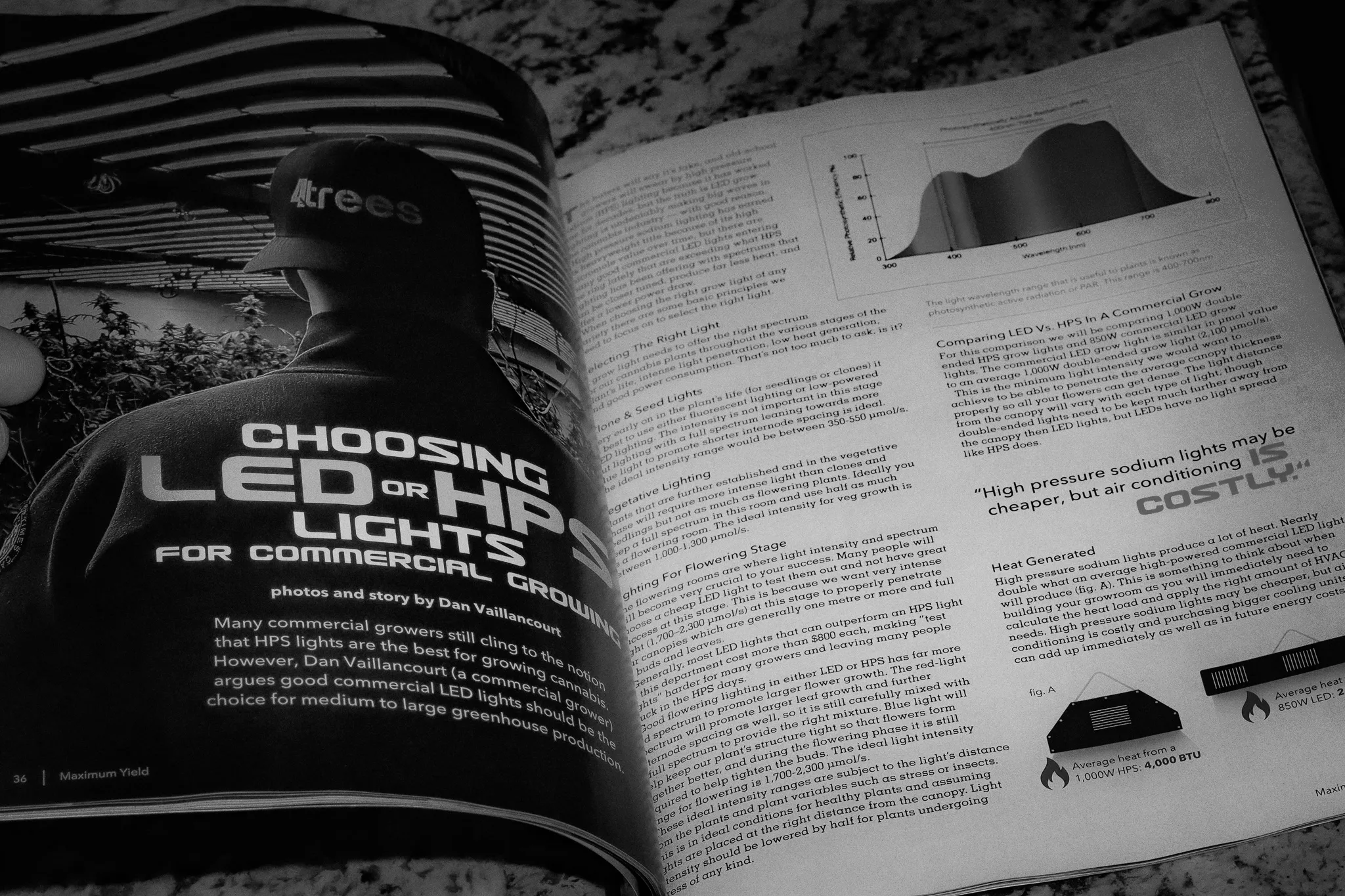 Magazine open showing 4trees article