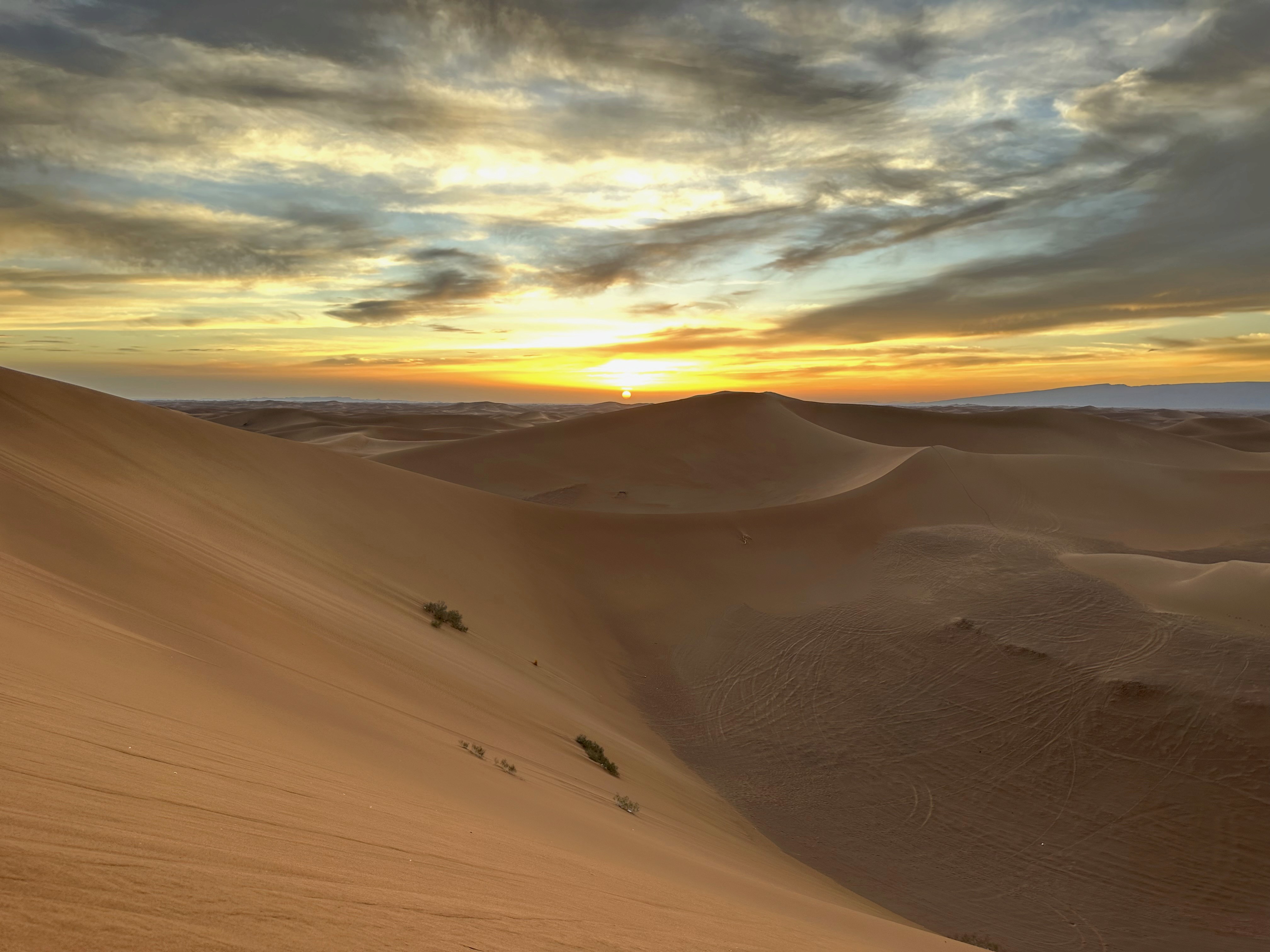 Project - The Meadow House