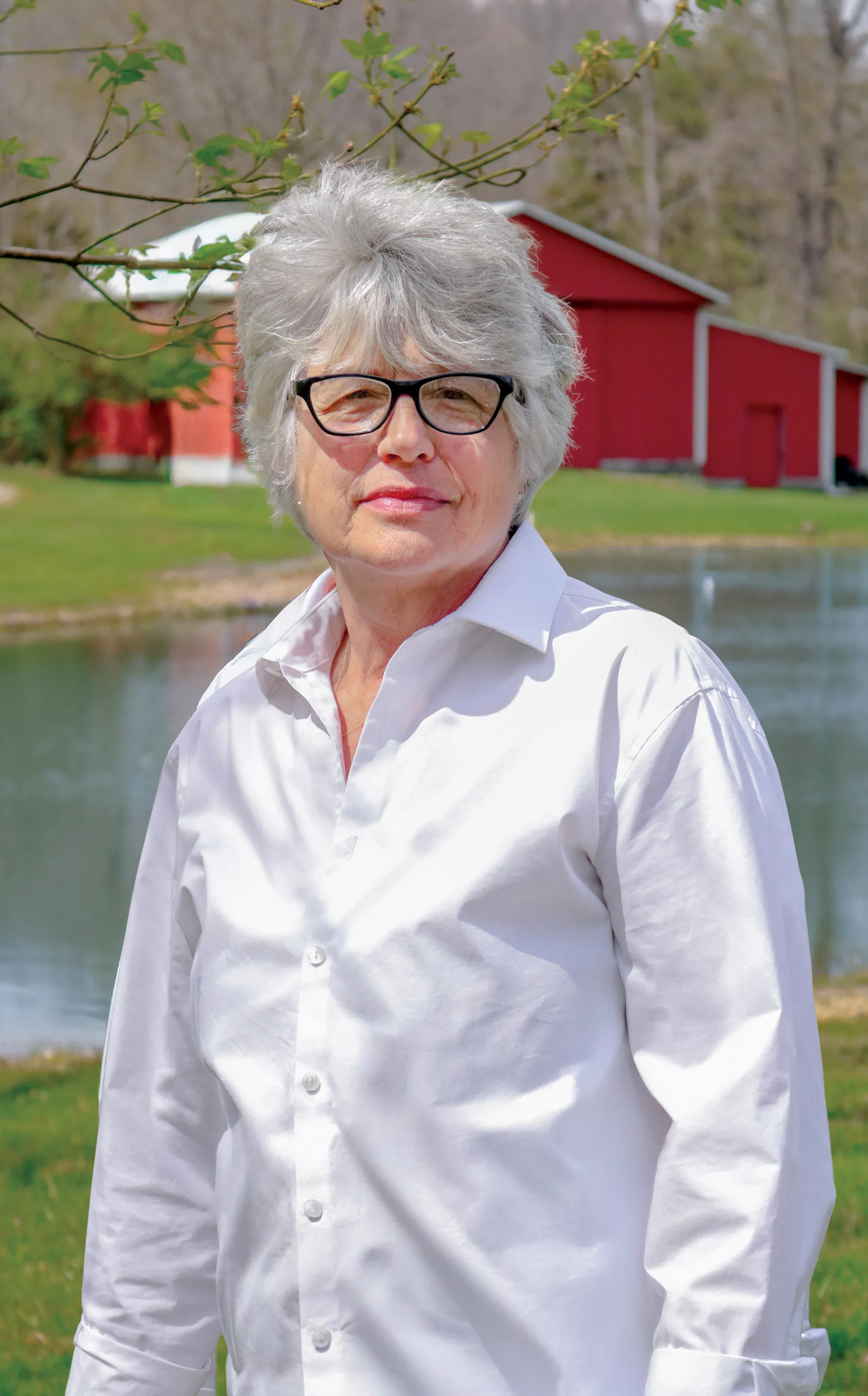 Team collaborating in office